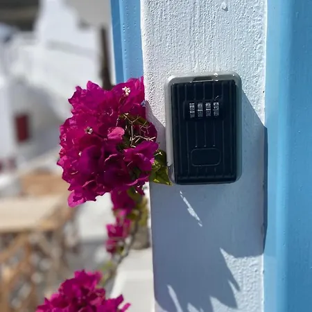 Апартаменты Elenitas In Mykonos Town